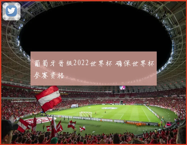 葡萄牙晋级2022世界杯 确保世界杯参赛资格