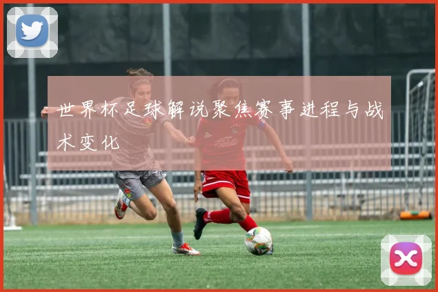 世界杯足球解说聚焦赛事进程与战术变化